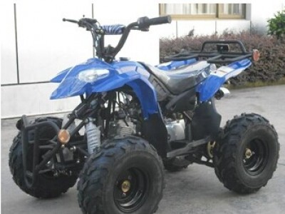 Buy 50cc/110cc Air Cooled Auto Clutch ATV at wholesale prices