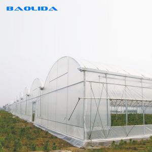 Agriculture Plants Growing Multispan Greenhouse Cooling System With Top / Sides