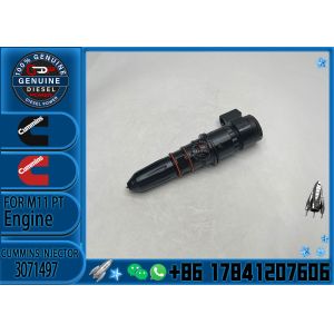 Construction Machinery PartsFuel Injector ForM11 PTDiesel13071497 4914328