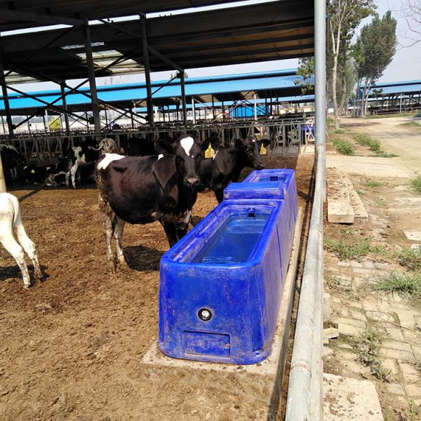 Durable 4m Livestock Water Tank 300L LLDPE Animal Water Trough