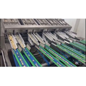 State-of-the-Art Cashew Kernel Sorting Equipment with Full 360° AI-Based Defect