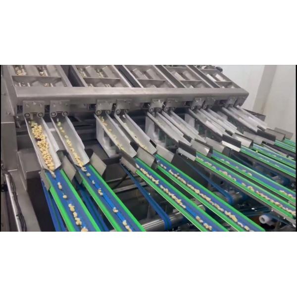 State-of-the-Art Cashew Kernel Sorting Equipment with Full 360° AI-Based Defect