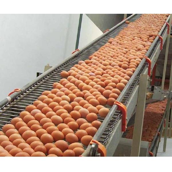 Flat Flex 304 Stainless Steel Wire Mesh Conveyor Belt 220V