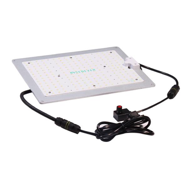 Buy Blue Waterproof IP65 AC240V Hydroponic Grow Light at wholesale prices