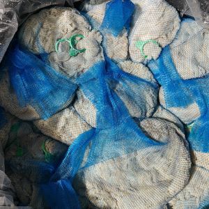 Strong air permeability healthy natural Sheep Hot Dog Casing IOS9001