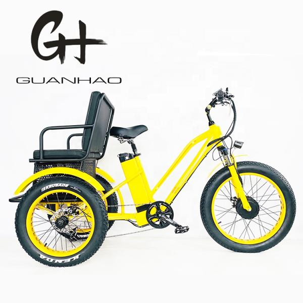 US Fat Tire Electric Passenger Tricycle with 1000W Bafang Motor and Aluminum Pedal
