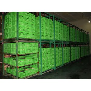 Agricultural Plastic Collapsible Storage Crate Customized 600*400 Mm