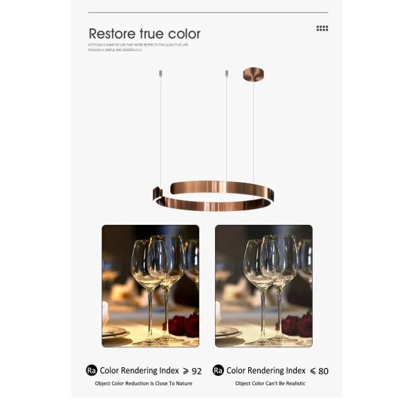 Mininalist Circle Rings Ceiling Chandeliers Hanging Pendant Lighting Aria Multi Light Chandelier（WH-AP-619）