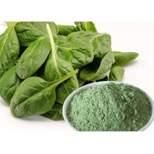 Manufacturer Pure Spinach Powder Natural Dehydrated Spinach Powder
