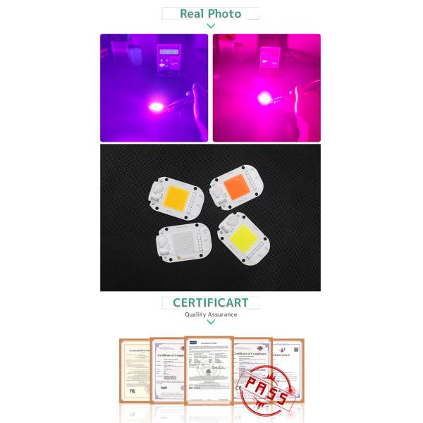 6000K COB LED Module Size 25mm Flip Chip For DIY Flood Light