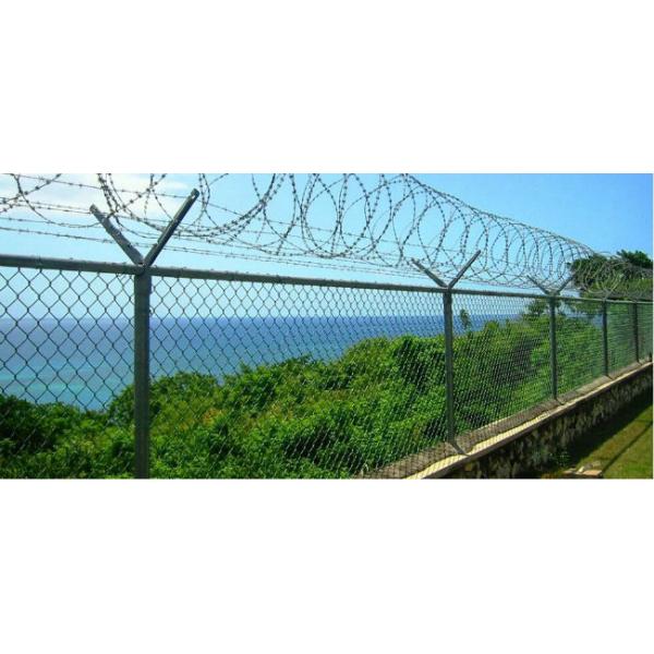 Chain Link Fence wire mesh fencing on Sale