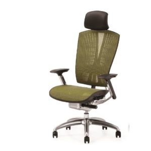 China New Design Mesh Ergonomic Executive Chair with Adjustable Back Support on sale