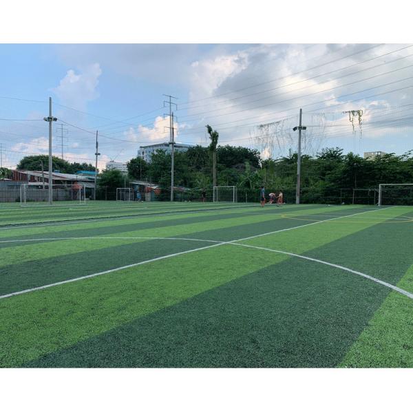 Buy SGS Green Synthetic Turf futsal carpet For Football Ground at wholesale prices