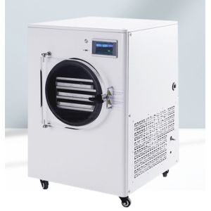 Industrial Herbal Medicine Lyophilization Vacuum Freeze Dryer Machine Pilot