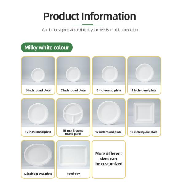 White 3 Compartment Bagasse Tray Original Color Dinner Sugarcane Bagasse Pulp 10 Inch Round Plates