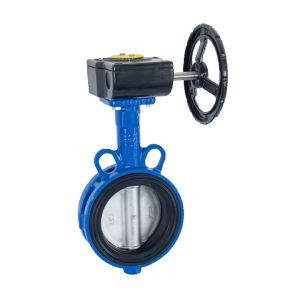 Quality ANSI 150LB Soft Seal Turbine Butterfly Valve Ductile Iron Body for sale