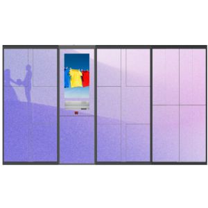 Economical School Hotel Laundry Locker Custom 6 Door Steel