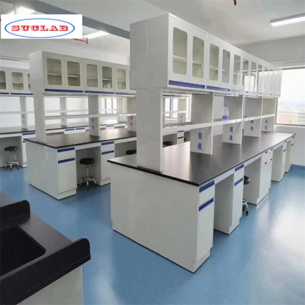 Buy Versatile Chemistry Lab Workbench with Numerous Hooks and Compartments at wholesale prices