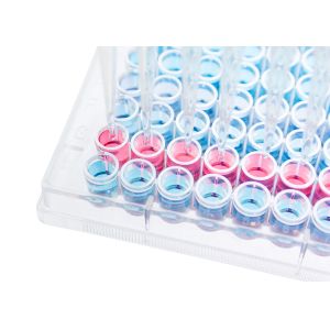 China PS Tissue Culturetreated Cell Culture Plate 6 12 24 48 96 384 Well on sale
