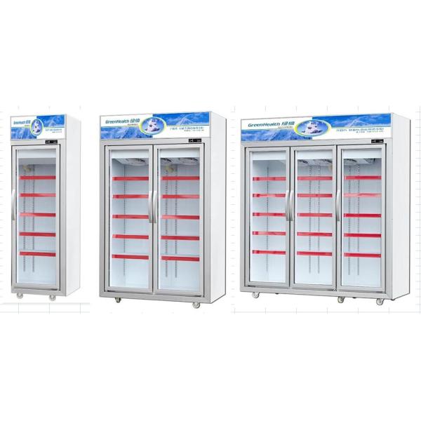 Auto - Defrost Vertical Commercial Display Freezer For Meat Seafood With 1 / 2 /