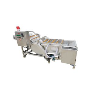 Fruits 380V Vegetable Washing Machine With Conveyor