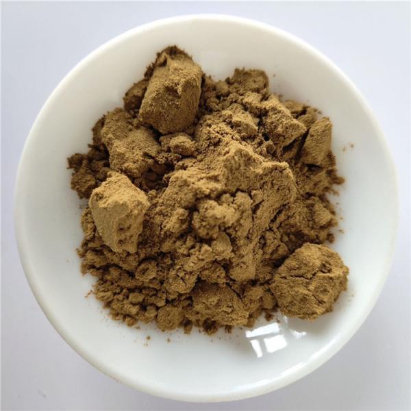 Hot Sale Water Chestnut Extract For Detoxification