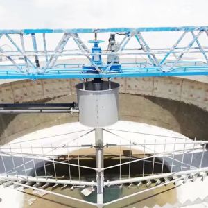 Sedimentation Tank Peripheral Drive Sludge Scraper equipment ISO9001 certified