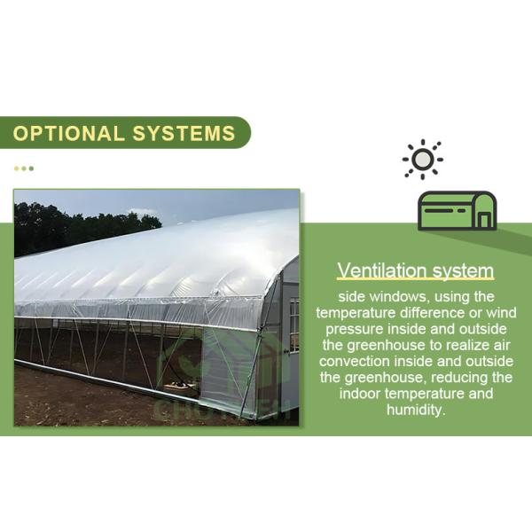 Plastic Film Tunnel Greenhouse Kit Width 6m 8m 9m For Growing Vegetables Flowers Fruits