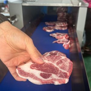 JY-25K Horizontal Frozen Meat Slicer Machine with Outfeed Conveyor Belt For Food