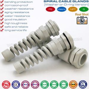 China Nylon Polyamide Cable Gland on sale
