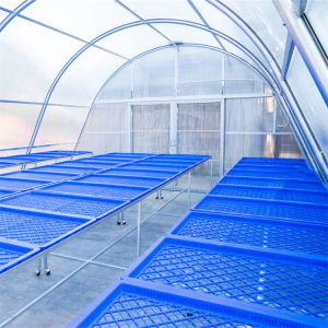 Drying Greenhouse With PC Board And Ventilation Greenhouse Metal Frame