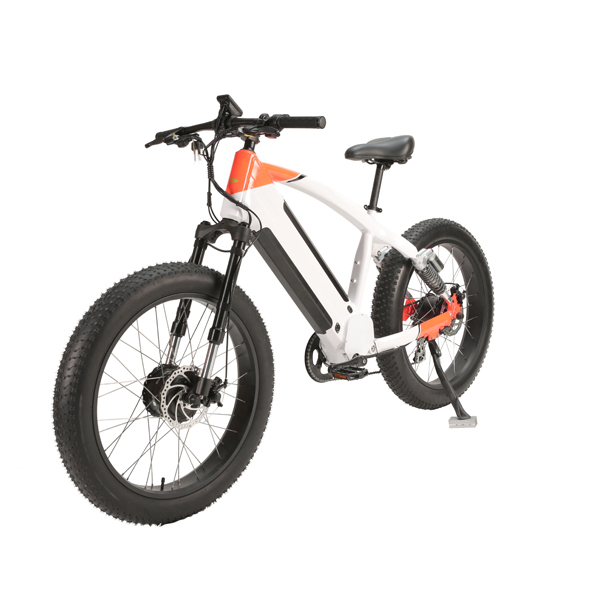 Powerful Z Star Brake Middle Drive Electric Bicycle with 26 Inch and Lithium Battery