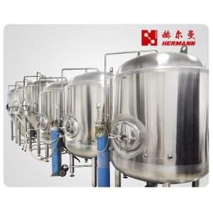1000L Small Brewery Equipment
