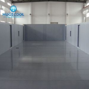 Temperature -10-0C Commercial Cold Storage Container with Refrigeration