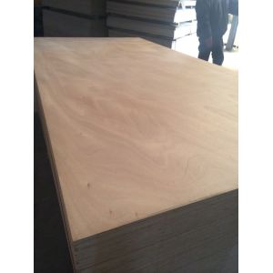 Mexico market sapele plywood high quality