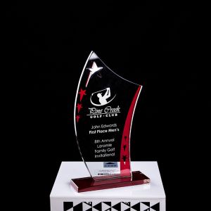 Encourage Souvenir Plastic Crystal Trophy Cup With Laser Engraving