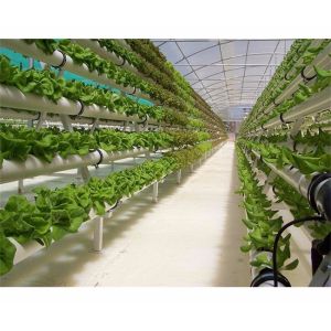 NFT System Vertical Hydroponics Garden Automatic Humidity Control