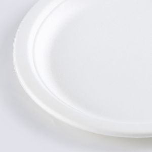 Biodegradable Food Container Bagasse 6.75 inch Plates