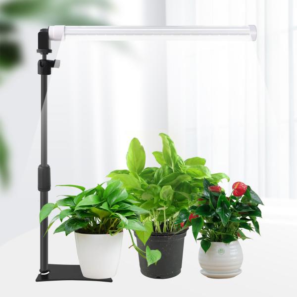 Indoor Plants Seedlings Succulents Tabletop Grow Lights With Stand Full Spectrum