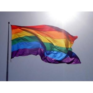 Sublimation Coated Mirror Digital Printing Fabric To Make Banner Flag Directly