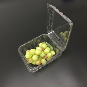 125g Blueberry Clamshell Plastic Packaging Boxes Impact Resistance