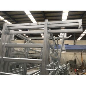 Professional Hot DIP Galvanized Cattle Crush with Weighing Scale