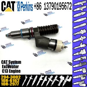 Diesel injector C13 Common Rail Diesel Fuel Injector 294-3002 for CAT diesel