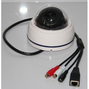 Mini Dome IP Camera with 180 Degree Fisheye Lens