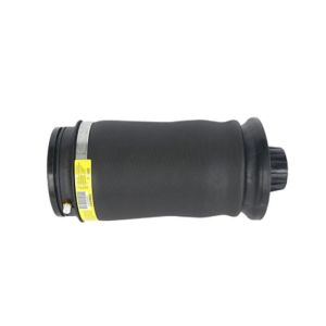 Rear Air Suspension Spring Bellows Air Bags A1643201025 A1643200725 For Mercedes