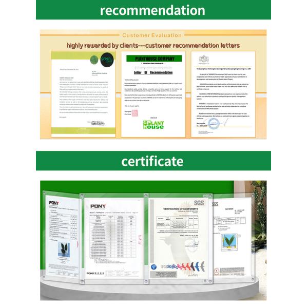 Handmade Plastic Artificial Monstera Plant Wind Resistance