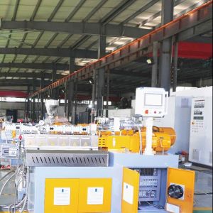 5~20kg/H Biodegradable Plastic Bag Blown Film Granulator PLA Corn Starch