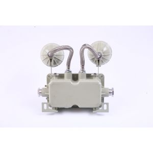 Aluminum Alloy Atex 2X3W Explosion Proof Emergency Light