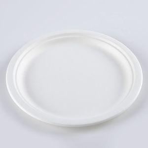 Biodegradable Food friendly fully Bagasse 10 inch Round Plates