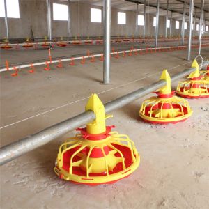 Plastic Chicken Manual Poultry Feeders And Drinkers Oem